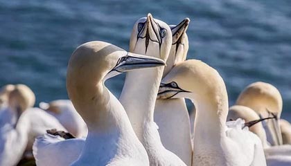 九游app下载中心-曼城对尤文的胜利强化其世俱杯头号竞争者地位，曼城尤文最新比赛